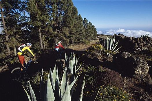 山地车手,加拉霍艾,加纳利群岛,西班牙