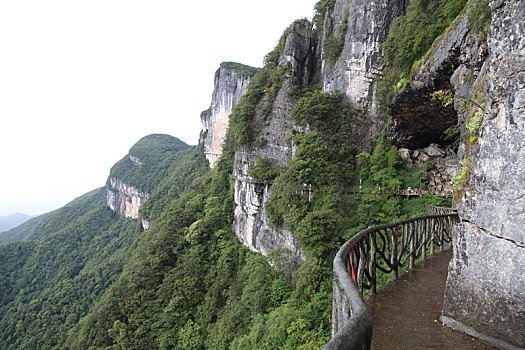 重庆南川,雨中金佛山云端栈道,与云雾起舞如仙如境