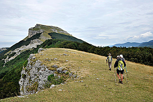 法国,隆河阿尔卑斯山省,跋涉,地区性,自然公园,风景