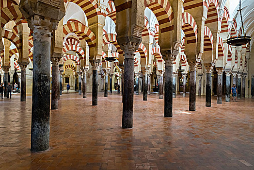室内,清真寺,大教堂,科多巴,世界遗产,安达卢西亚,西班牙,欧洲