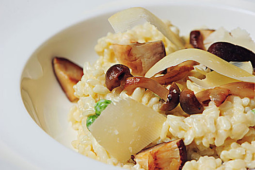 芝士蘑菇烩饭