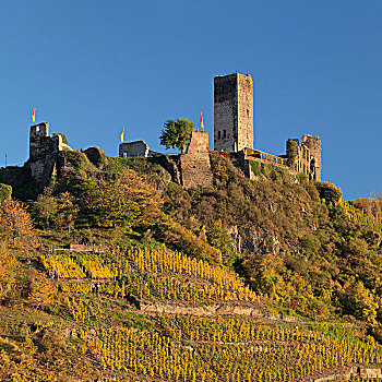 城堡遗迹,摩泽尔,莱茵兰普法尔茨州,德国