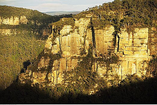 树林,悬崖,日出,山谷,蓝山,新南威尔士,澳大利亚