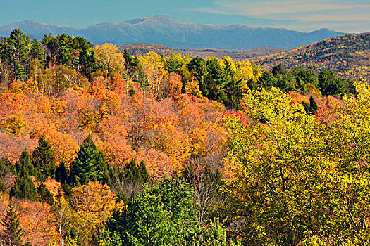 秋天,视点,绿色,山,佛蒙特州,美国