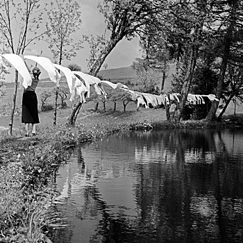 主妇,悬挂,向上,清新,洗,黑森林,德国,20世纪30年代