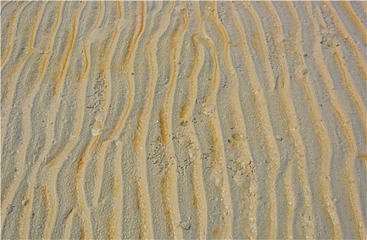 纹理,湿,沙子,波纹,海滩