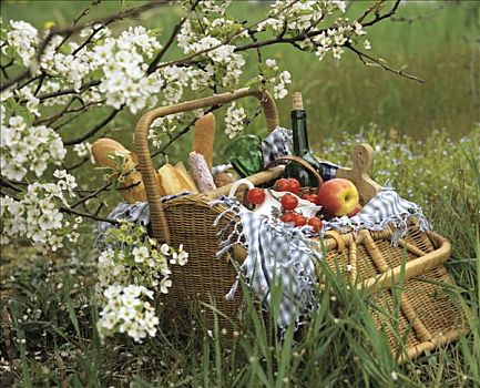 野餐篮,花,果树