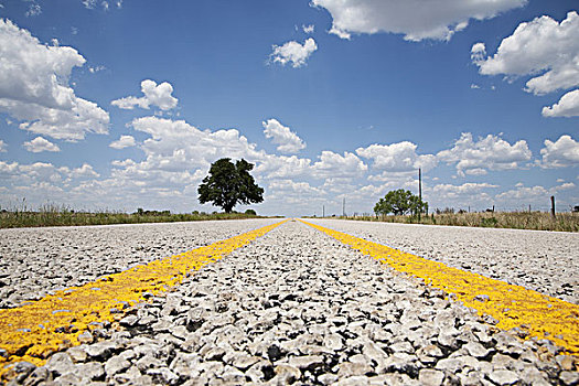 道路,乡村风光,特写,德克萨斯,美国