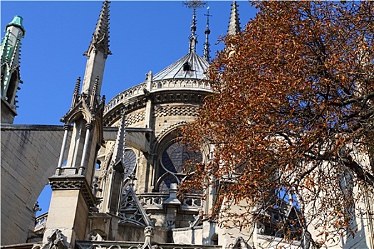 圣母大教堂,巴黎
