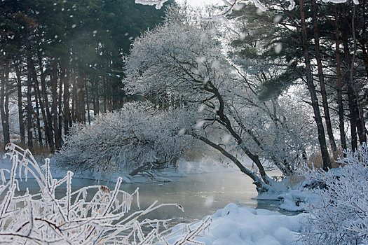 黑龙江冰雪风光