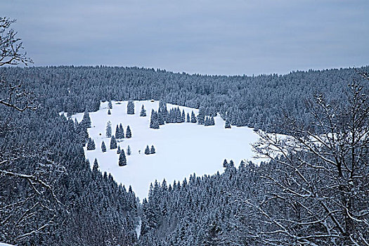 冬季风景,黑森林,巴登符腾堡,德国,欧洲