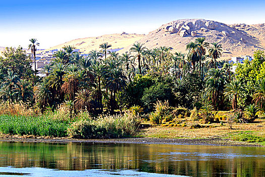 非洲,乡村,荒芜,河,尼罗河,靠近,阿斯旺,埃及