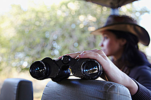 女人,拿着,双筒望远镜,旅行队,卡车,克鲁格国家公园,南非