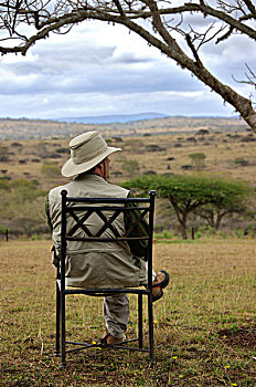 非洲,南非,纳塔耳,祖鲁族,林羚,禁猎区,客人,享受,晨景