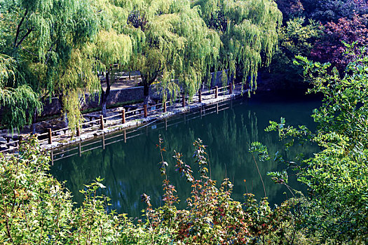 绿树环绕的碧绿水潭,山东济南九如山风景区