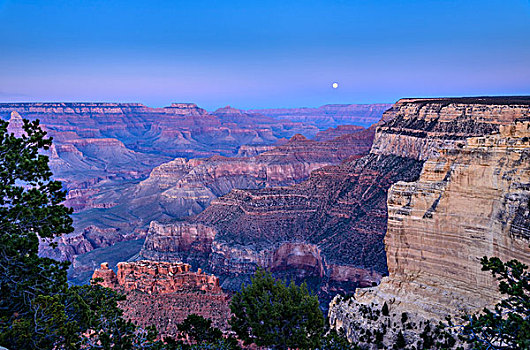 美国,亚利桑那,大峡谷国家公园,南缘,傍晚,月出