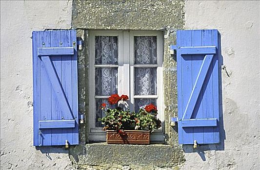 花,窗,盒子,法国