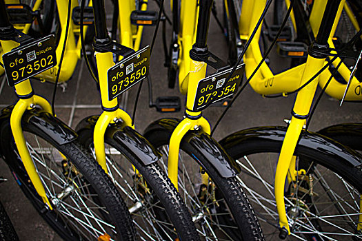 自行车ofo共享单车