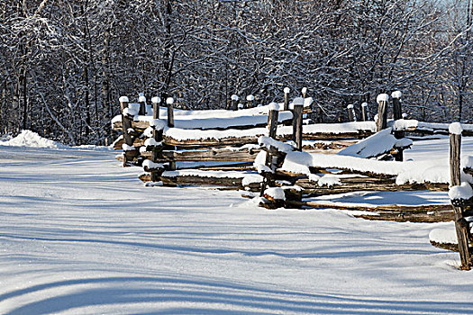 老,栅栏,栏杆,积雪,铁,山,魁北克,加拿大