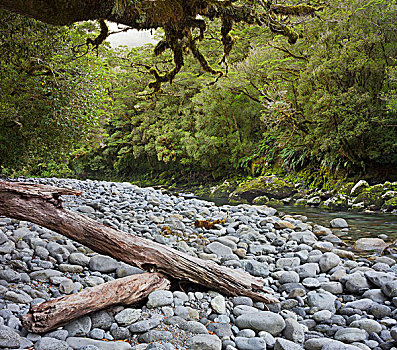 河,峡湾国家公园,南部地区,南岛,新西兰