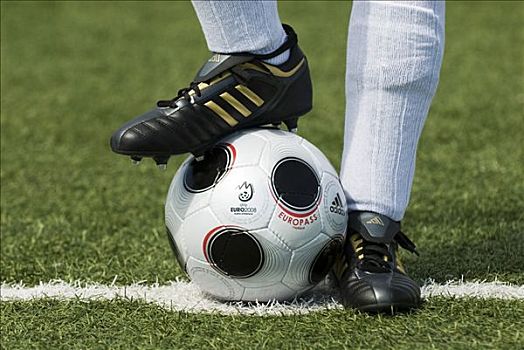 脚,德国,国家,球员,比赛,球,欧锦赛,2008年,欧元,杯子,仿制