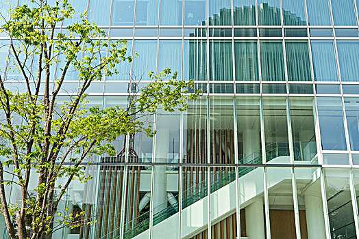 玻璃墙,现代建筑