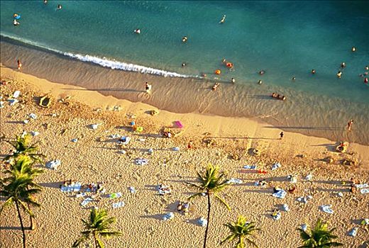 夏威夷,瓦胡岛,怀基基海滩,双体船,伞,度假者,海滩,俯视