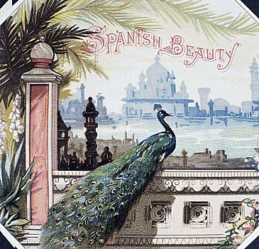 西班牙,漂亮,雪茄盒,标签,19世纪
