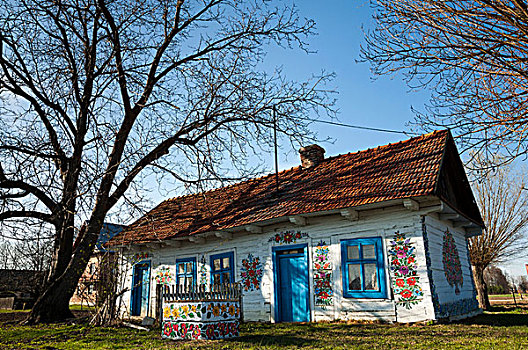 传统,老,木质,房子,涂绘,彩色,花,乡村,靠近,小波兰省,波兰,欧洲