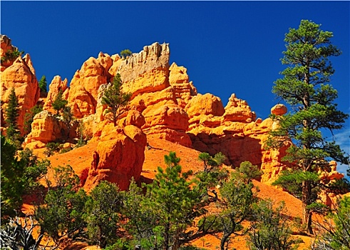 岩石构造,红色,峡谷,公园,犹他