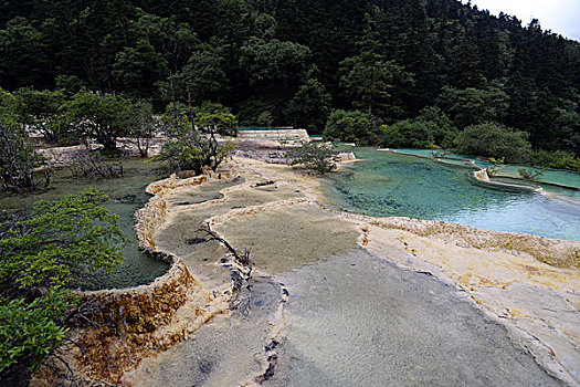 四川阿坝黄龙风光