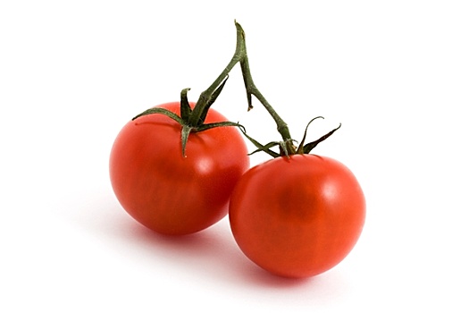 两个,西红柿,藤,上方,白色