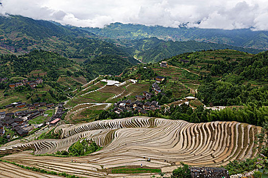 龙脊梯田