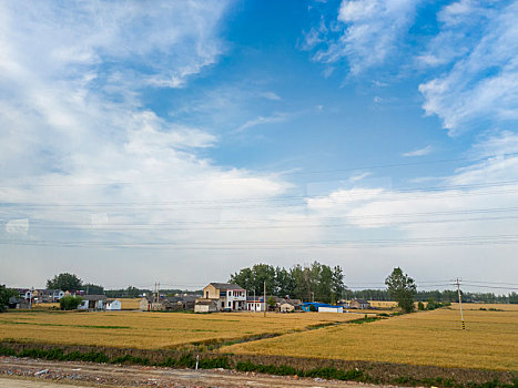 夏日苏北田园风光