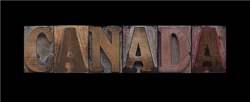 加拿大,老,木头,输入