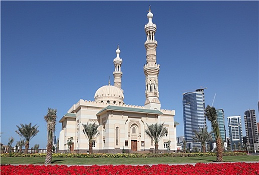 清真寺,沙迦,城市,阿联酋