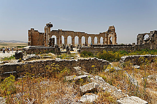 古罗马遗址,瓦卢比利斯,世界遗产,梅克内斯,摩洛哥,北非,非洲