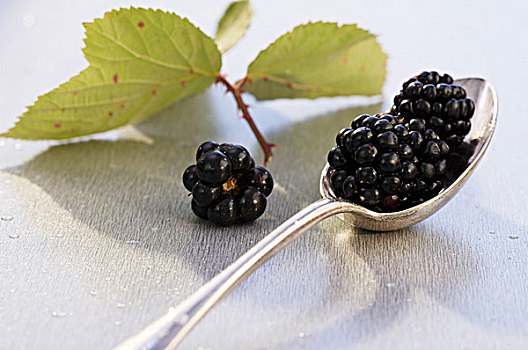黑莓,勺子,叶子