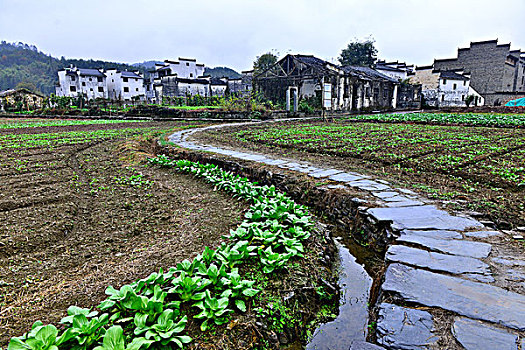 思溪延村