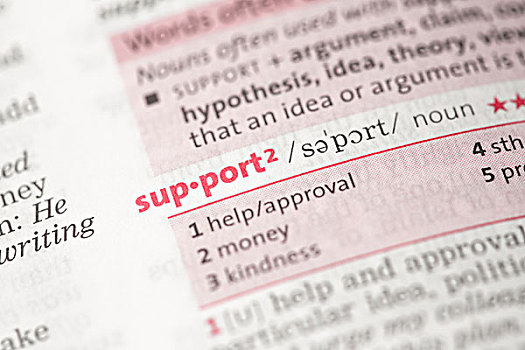 支持,定义,字典