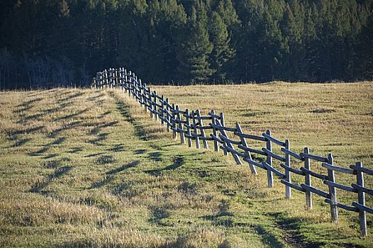 围栏,草场,松树,背景,加拉廷,蒙大拿,美国