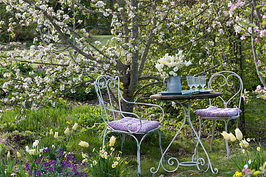 座椅,地点,正面,苹果树,郁金香属,花束