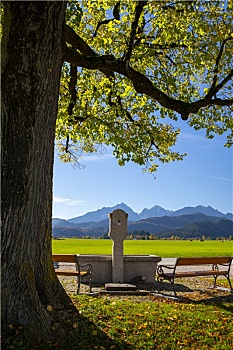德国巴伐利亚施旺高镇教堂大树旁的水龙头及水池