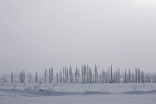 新疆伊犁赛里木湖果子沟冬日雪景