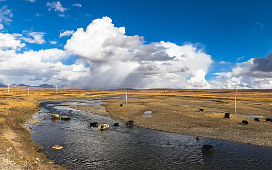 巴颜喀拉山,青藏高原