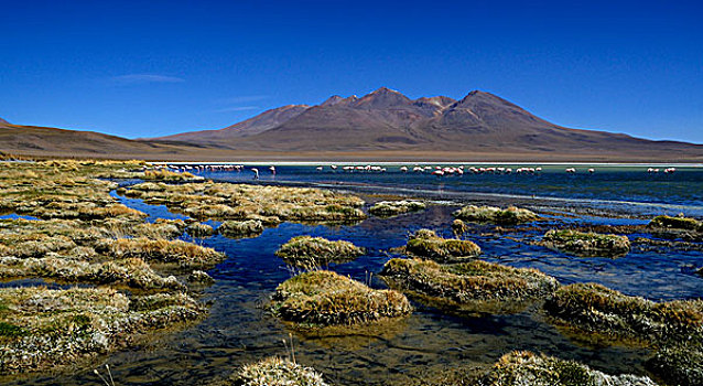 泻湖,山峦,乌尤尼,玻利维亚,南美