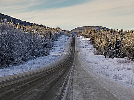 风景,道路,通过,积雪,地区性,地区,公路,不列颠哥伦比亚省,加拿大