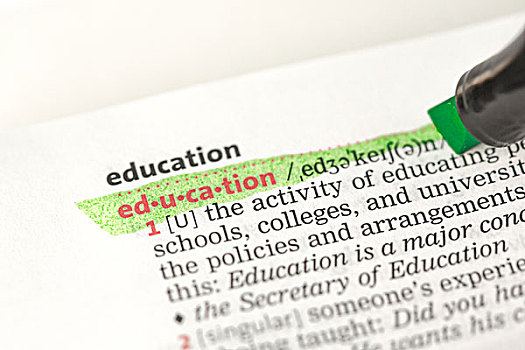 教育,定义,突显,绿色,字典