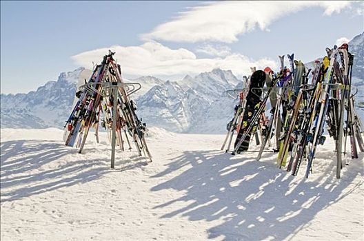滑雪,滑雪板,背影,伯恩高地,格林德威尔,伯恩,瑞士,欧洲