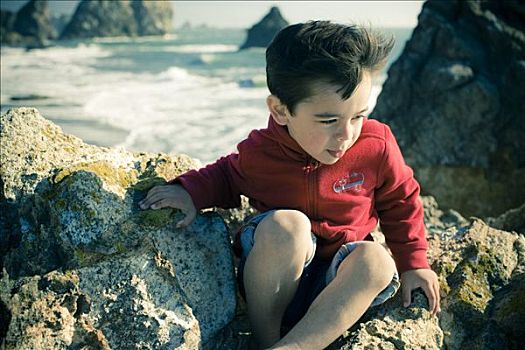 小男孩,坐,石头,海滩,州立公园,俄勒冈,美国